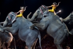 Elefantes en el show de Ringling Bros. and Barnum & Bailey